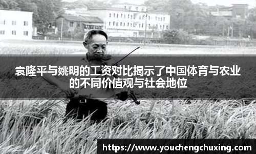 袁隆平与姚明的工资对比揭示了中国体育与农业的不同价值观与社会地位